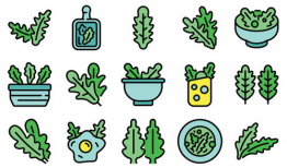 菠菜漫画,趣味横生的日常生活趣事