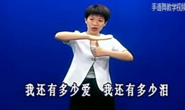 感恩的心手语视频,传递爱与感激的温暖旋律